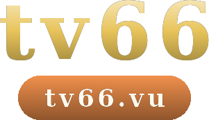 tv66 logo